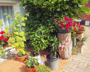 Ferienwohnung 2